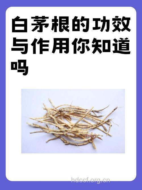 白草根的功效与作用