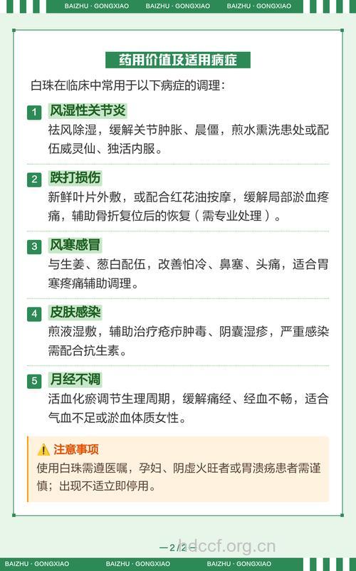 白珠树的功效与作用