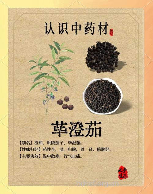 荜澄茄的功效与作用