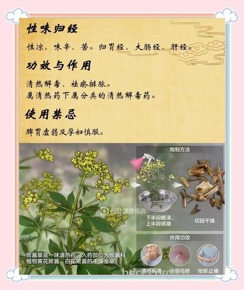 败毒草的功效与作用