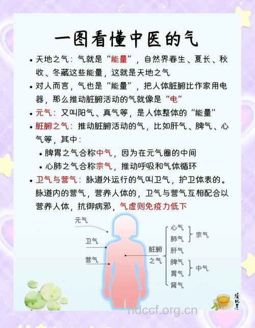 体虚气短的人应该如何调养