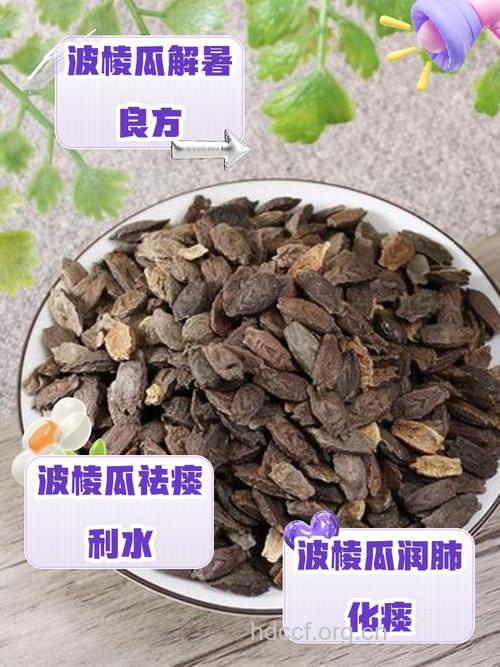 波棱瓜的功效与作用