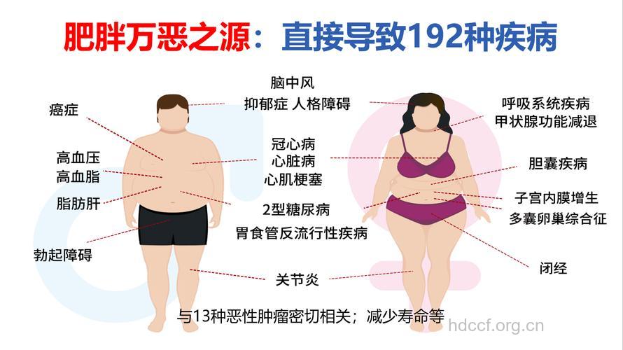 肥胖和糖尿病是基因之罪？