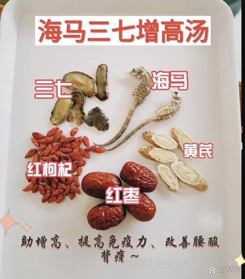 红胡豆七的功效与作用
