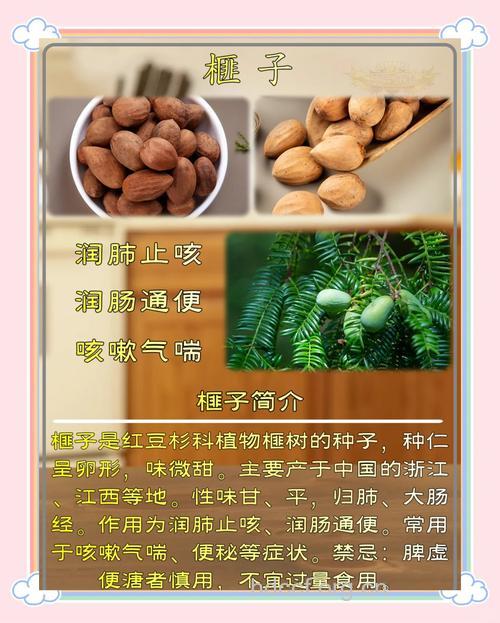 粗榧子的功效与作用