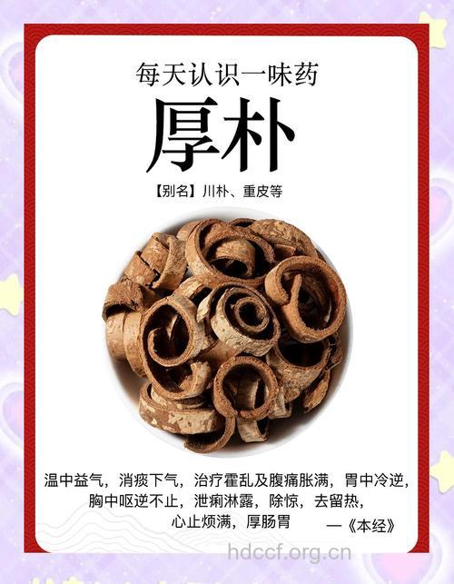厚朴果的功效与作用