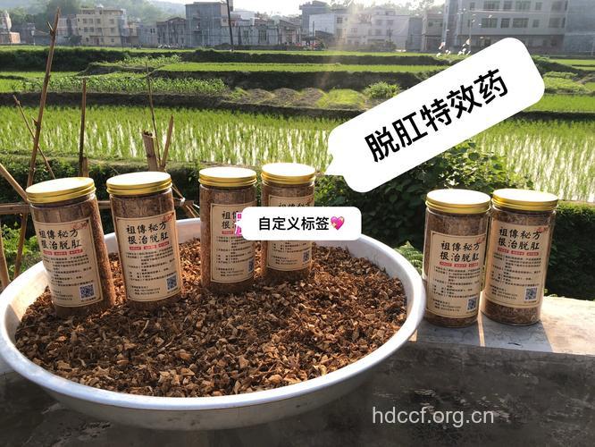 治脱肛中药效果佳