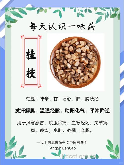 桂花枝的功效与作用