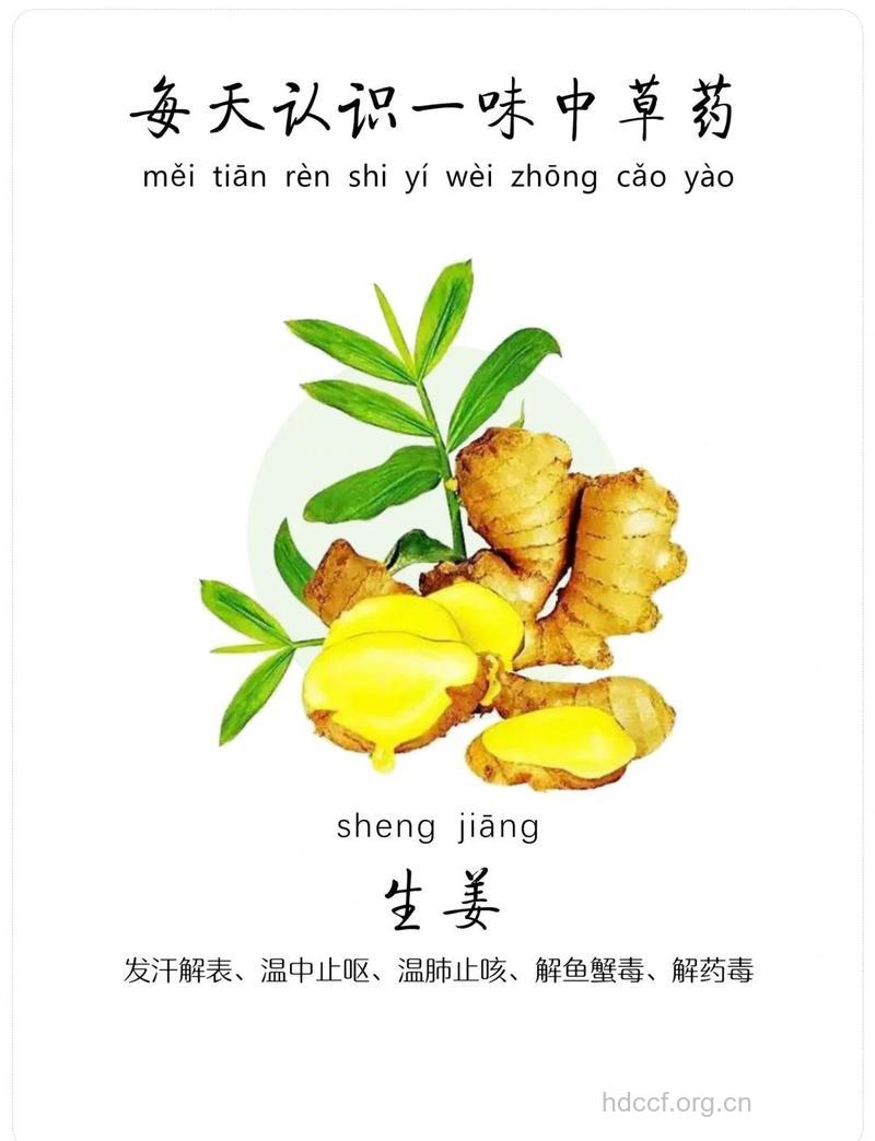 早上含姜片的三大功效