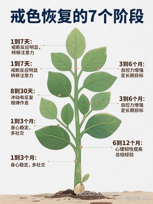 根治白癜风的新途径