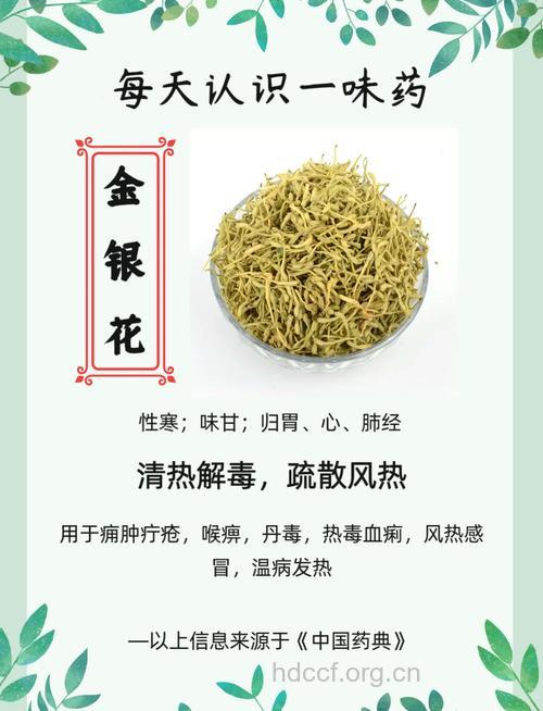 大金银花的功效与作用