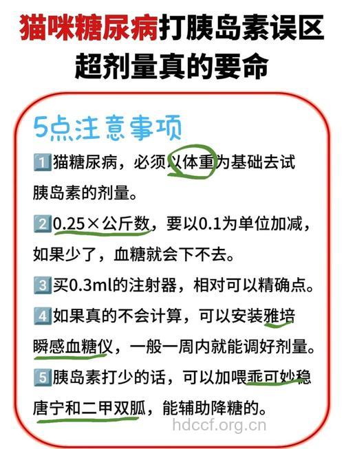 使用胰岛素应该注意的问题
