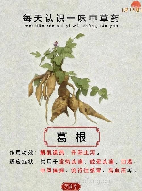 葛谷的功效与作用
