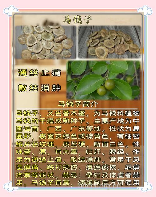 滇南马钱的功效与作用
