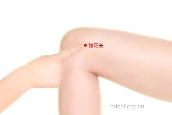 大阳关的功效与作用