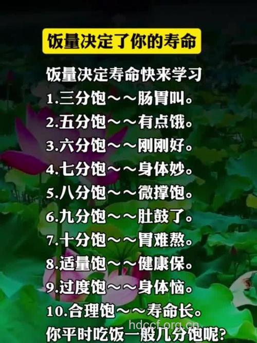 什么时候吃晚餐最长寿？