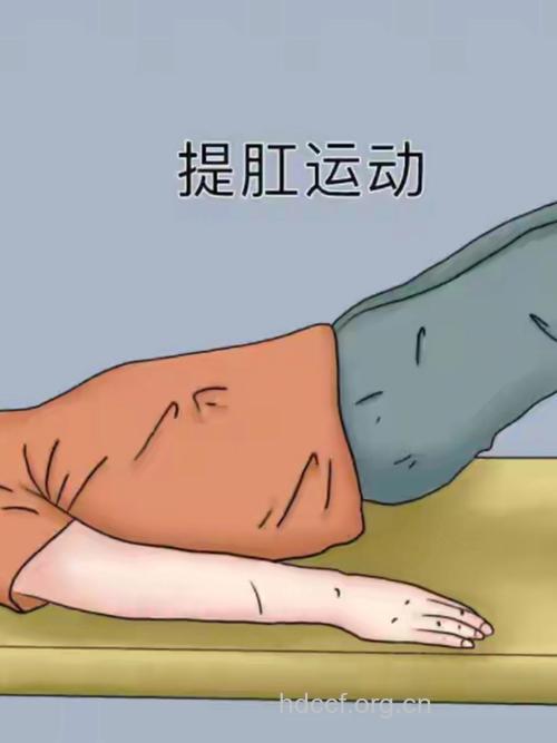 老年脱肛重在自我锻炼