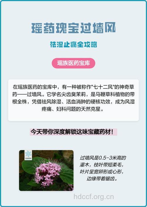 过墙风的功效与作用