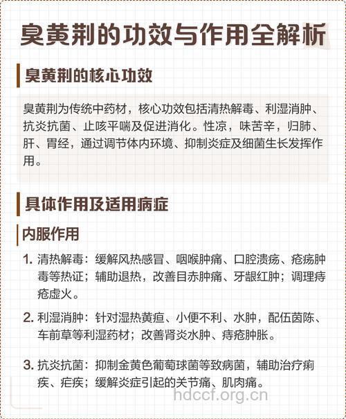 臭黄荆的功效与作用