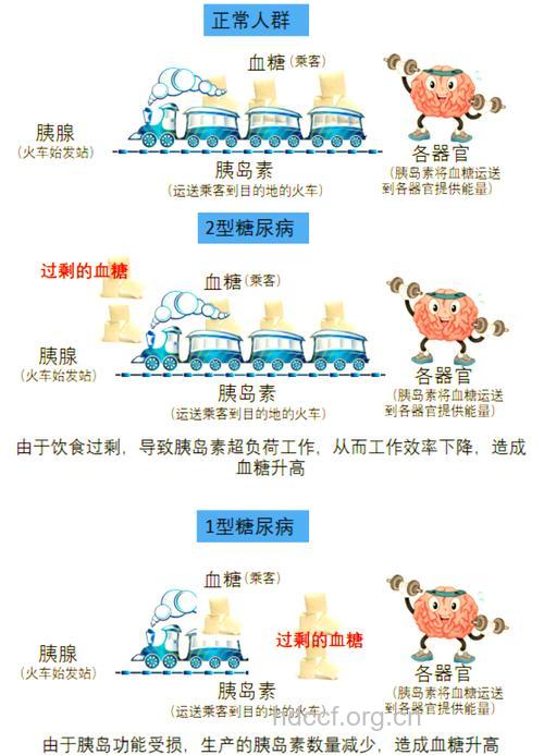 胰岛素泵的六大优势