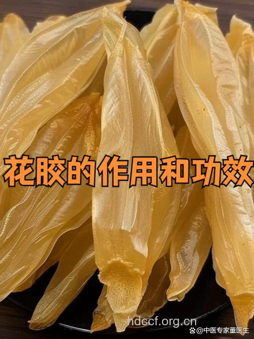 大鱼鳔花的功效与作用