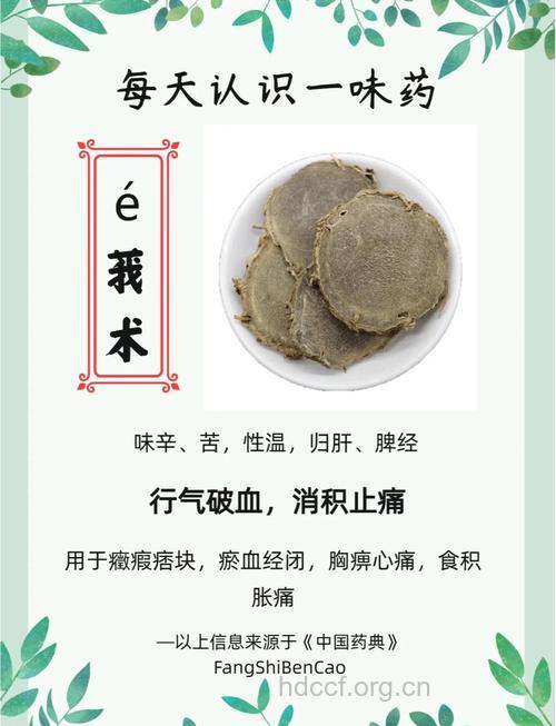 广西莪术的功效与作用