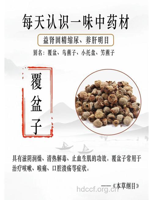 覆盆子根的功效与作用