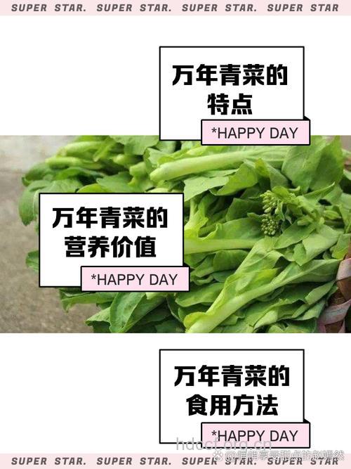 揭秘 4种菜吃出长生不老