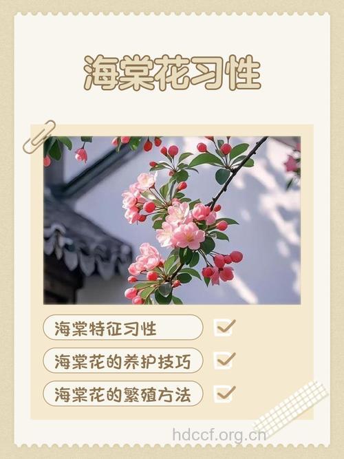 滇池海棠的功效与作用