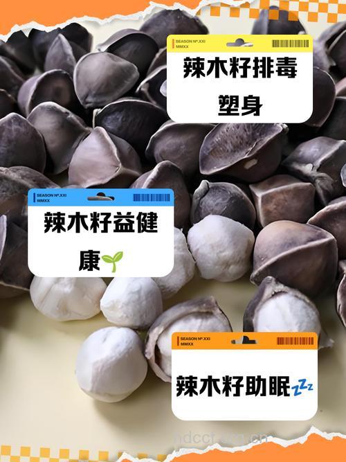 红木子的功效与作用