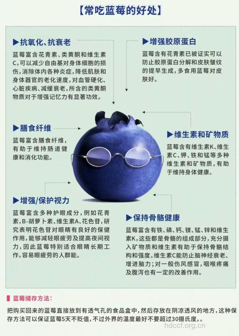 吃蓝莓有哪些好处呢?