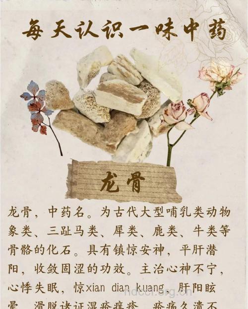 中医中有哪些以龙命名的药材