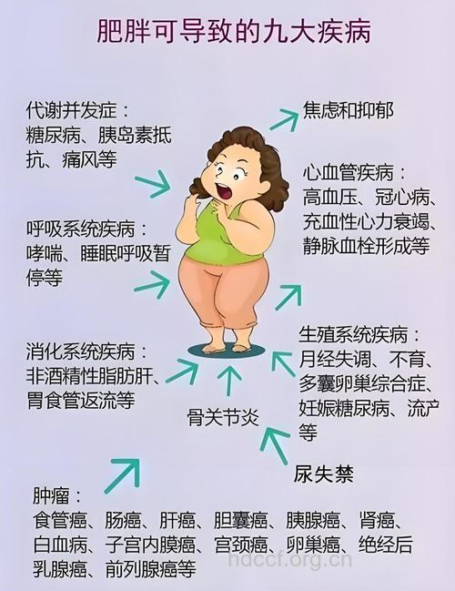 肥胖的人应该注意的几大癌症