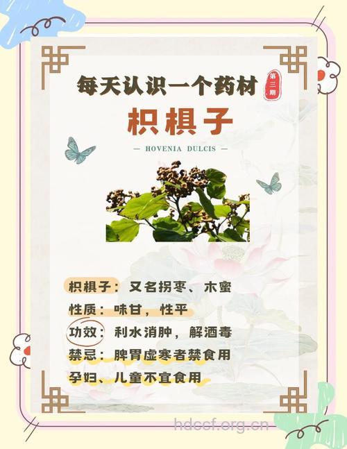 桄榔子的功效与作用