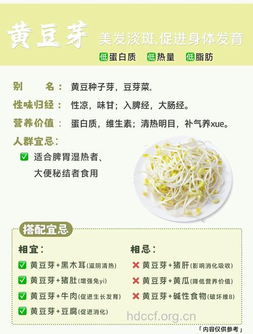 黄豆芽有什么营养价值？