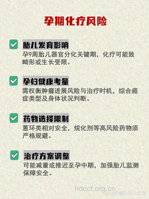 怀孕能不能进行化疗