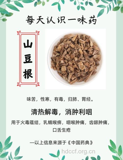伏毛山豆根的功效与作用