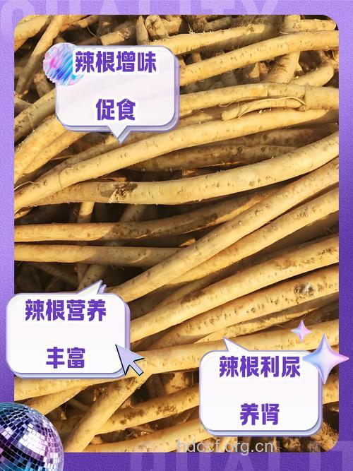 根辣的功效与作用