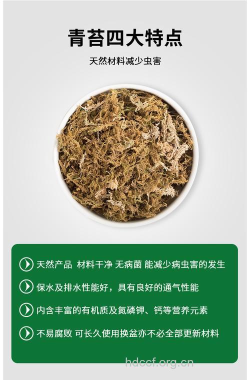 干苔的功效与作用