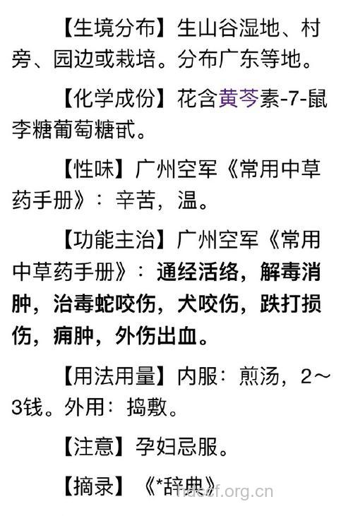 花叶假杜鹃的功效与作用