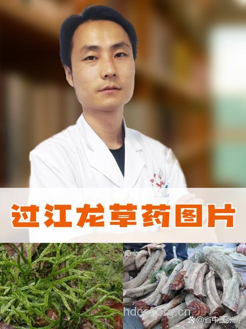 过岗龙的功效与作用