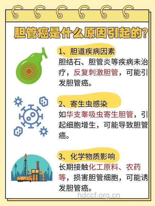 疾病百科 胆管癌是什么疾病