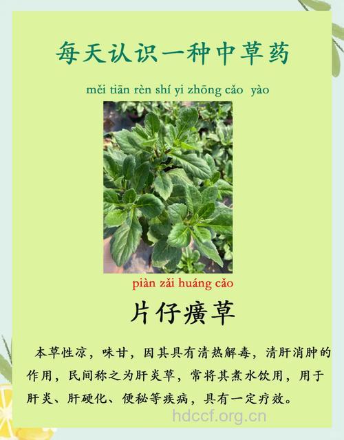 和他草的功效与作用