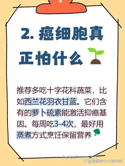 最容易上当的12个致癌误区
