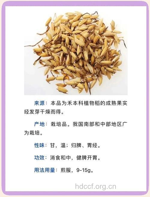 稻芽的功效与作用
