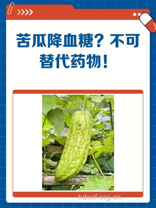 苦瓜降糖产品不能取代常规药