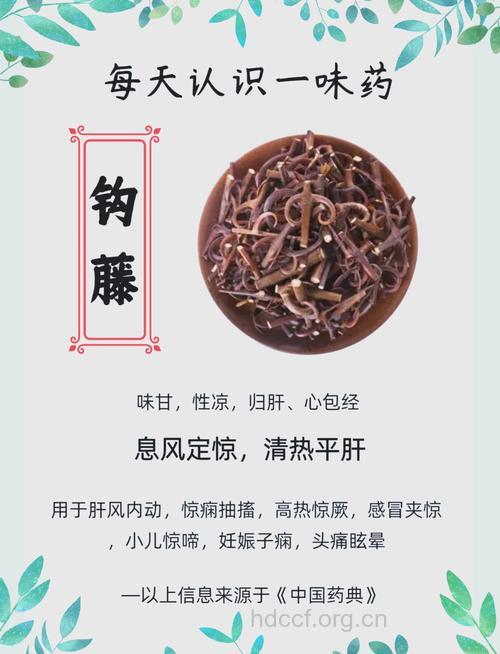 钩藤的功效与作用