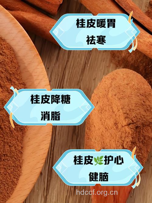 桂皮紫萁的功效与作用