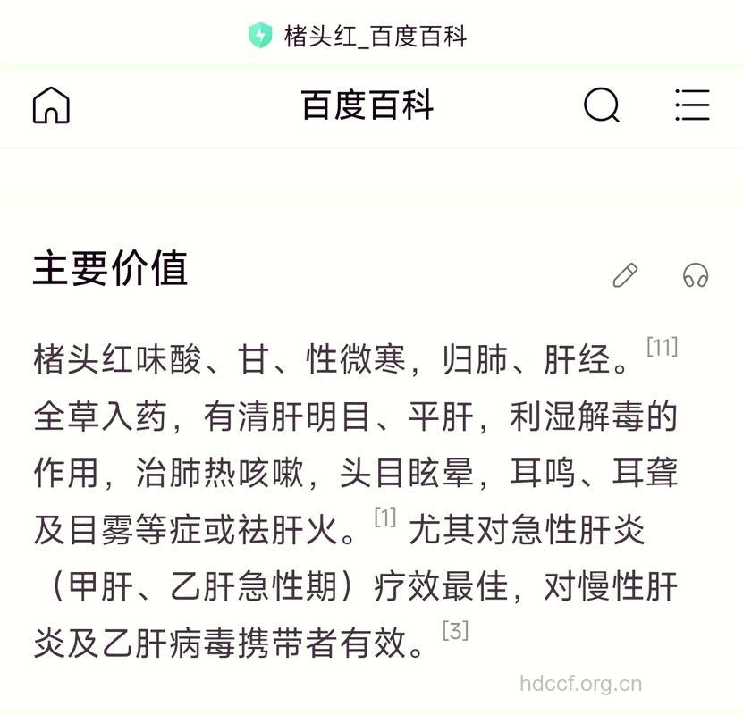 楮头红的功效与作用