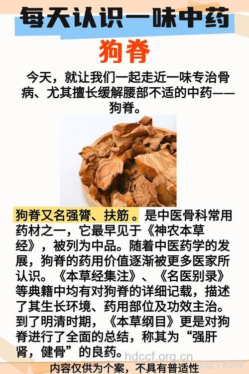 狗骨节的功效与作用